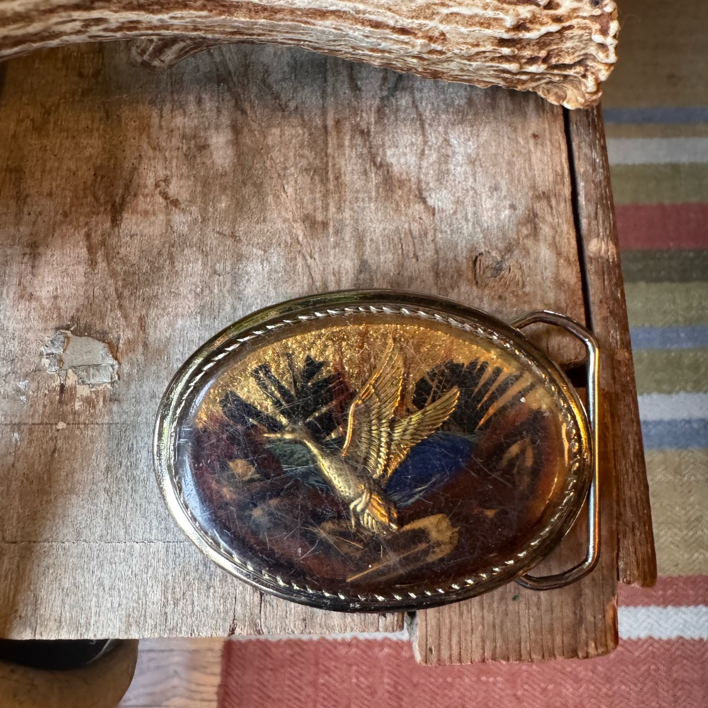 Vintage Bird Belt Buckle | Great American Buckle Co | Resin Dome | USA